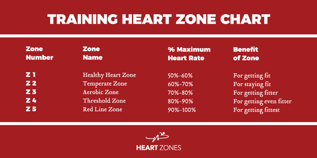 5 Basic Principles of Heart Zones Training Principle No. 2