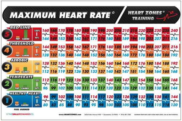 Rating max. Heart rate. Max Heart BPM. Heart rate 220. Таблица Харта.