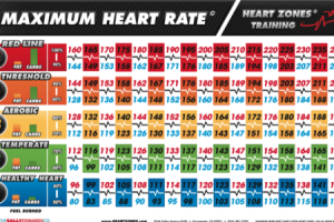 Heart Rate Zones Training Methodologies And More