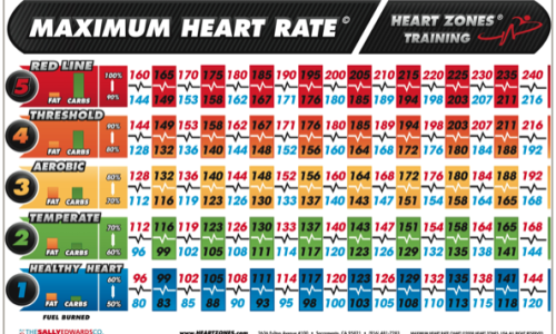 Max Heart Rate Chart Female